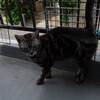 スッキリです