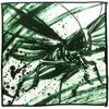 「一番くじ 昆虫 LIFE WITH INSECT」2020の中で最もレアな作品を決める　プレミアグッズランキング　