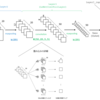 Theanoによる畳み込みニューラルネットワークの実装 (1)