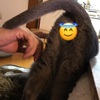最近のどうでもいいこと