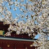 人間は年を取ると植物になる？