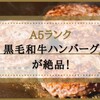 【楽天】A5ランク黒毛和牛ハンバーグが絶品でリピ買い！