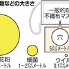 マスク着用の議論が偏向報道で惑わされないように…