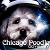 ODYSSEY/chicago poodle