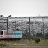 近江鉄道 2025　4/10-11