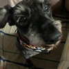ふくすけ特集やっちゃうよ