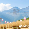 マネーフォワード活用術！ズボラでも続く節約術💰