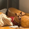 2025/01/03：そこに行けばいる人
