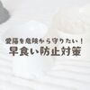 愛猫を危険から守りたい！早食い防止対策