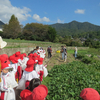 芋掘り遠足に行きました。