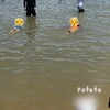 夏だ！海だ！海水浴に持っていって良かったもの