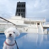 2021 犬連れ北海道旅行 1&2日目