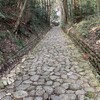 戦国時代を感じる諏訪原城（牧野城）とお茶