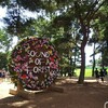 ROCK IN  JAPAN2019   その１