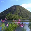 『日本百低山』とは？3種類ある日本百低山の一覧を比較！【山と渓谷社・日本山岳ガイド協会】
