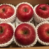 エクセディの株主優待で注文した「りんご」到着