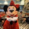 DCL&WDW （スケジュール/Schedule）