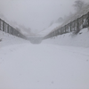 吹雪の和田峠越え【徒歩中山道②】