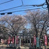 駒形神社様〜桜を探して5