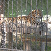 ２０１８／１１　東武動物公園