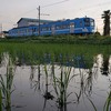 今日(５/23)と明日(５/24)の近江鉄道