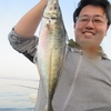5月16日