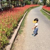 ミッション：子連れ動物園を攻略せよ！