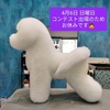 ４月６日(日)お休みです