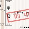 ドライスタウト 10ヶ月振り５勝目！
