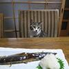 秋刀魚を死守せよ