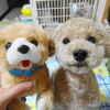 ニゴも歩けば棒にあたる