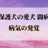 元保護犬 愛犬ミィの病気発覚【愛犬闘病記①】