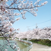 四月の慈雲寺の行事予定