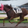 夏休みをもらっても大井競馬しか行くところのない男の人生