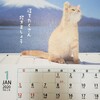 2020我が家のカレンダーが猫祭り