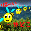 消えた夏みかん群・・・