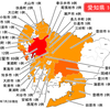 新型インフルエンザ 愛知県166例