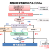 【精子】将来お子さんをお考えの方へ　その３【凍結保存】