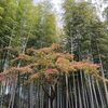 進化するオッサン！？
