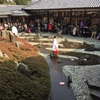 【ひな祭り】京都・松尾大社の流し雛に参加してきました