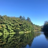 おひとりさまOLの軽井沢②雲場池