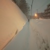 札幌も雪がずっと降っています