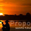 Quotes -Propose-