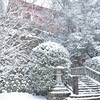 鞍馬寺で雪の境内を撮影。