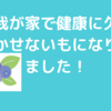 ブルーベリーが買えません。売っていない…ちょっと大変。