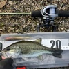 2025年12月30日 琵琶湖5（バス釣り 陸っぱり） バス釣り
