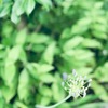 ６月２５日