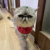 ラムちゃん地蔵大菩薩