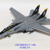 作品３１１ Grumman F-14B Tomcat