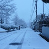 大雪警報